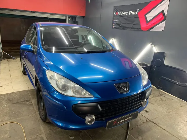 Химчистка салона автомобиля  для Peugeot 307